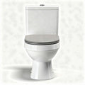 Vaso wc con sedile in plastica bianca dimensioni 70 x 40 x 80cm